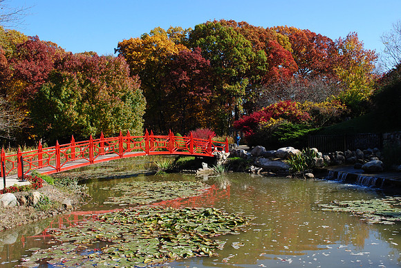The Red Bridge
