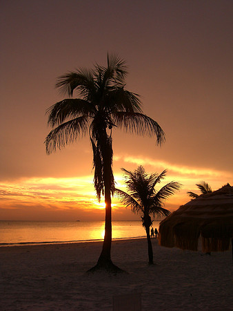 Ft. Myers Beach