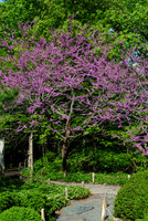 Arboretum