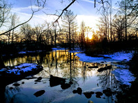 Milham Park
