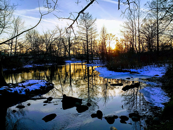 Milham Park