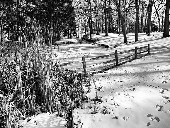 Milham Park BW