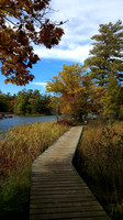 Ludington, MI
