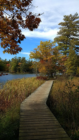 Ludington, MI