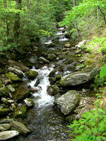 Pisgah stream