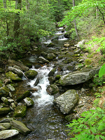 Pisgah stream
