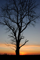 Illinois Sunset