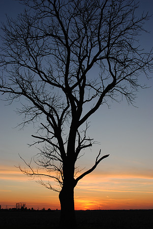 Illinois Sunset